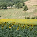 In Umbertide With Pool And Garden Vila Galera