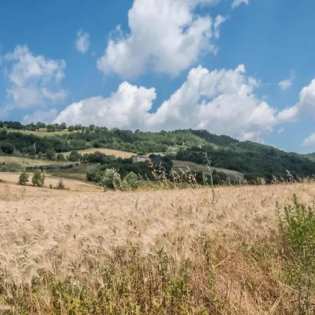 In Umbertide With Pool And Garden Villa Galera