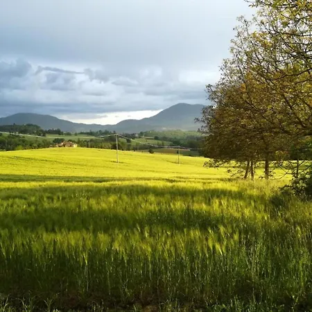 Villa In Umbertide With Pool And Garden Galera