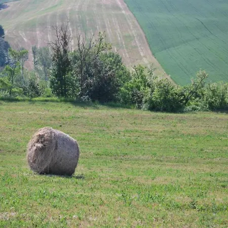 In Umbertide With Pool And Garden Villa *