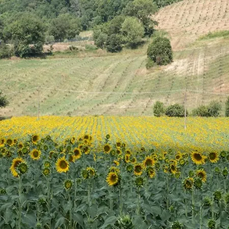 In Umbertide With Pool And Garden Villa Galera
