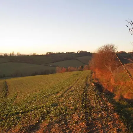 In Umbertide With Pool And Garden Galera