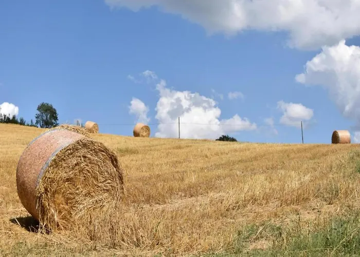 In Umbertide With Pool And Garden Villa Galera