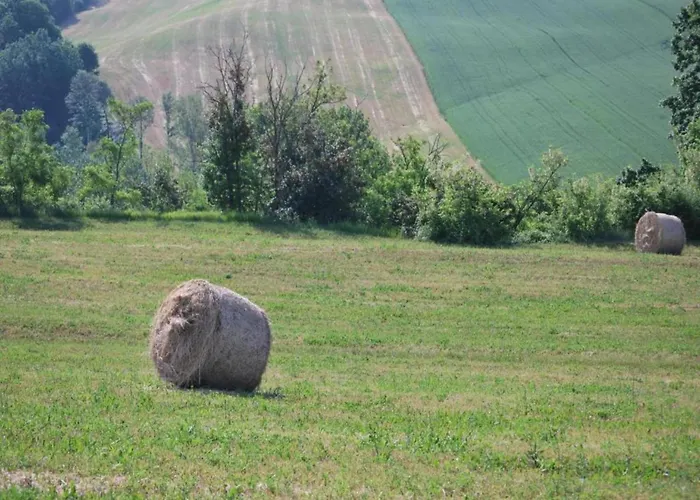 In Umbertide With Pool And Garden Villa *