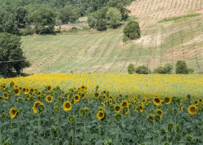 In Umbertide With Pool And Garden Villa Galera