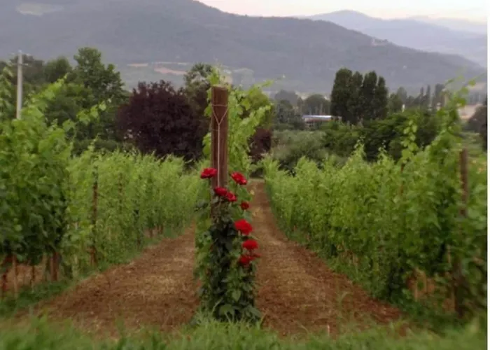 In Umbertide With Pool And Garden Villa Galera